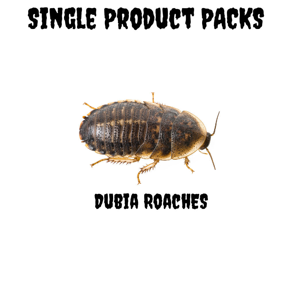 Dubia Roaches - Single Product Packs