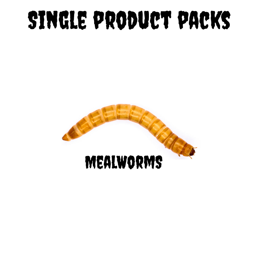 Mealworms - Single Product Packs