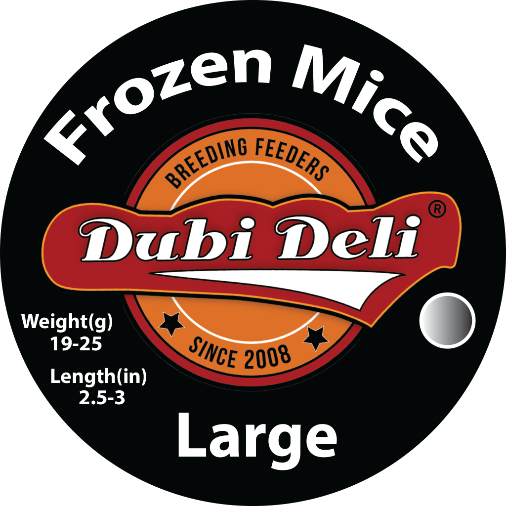 Frozen Mice (White): Large