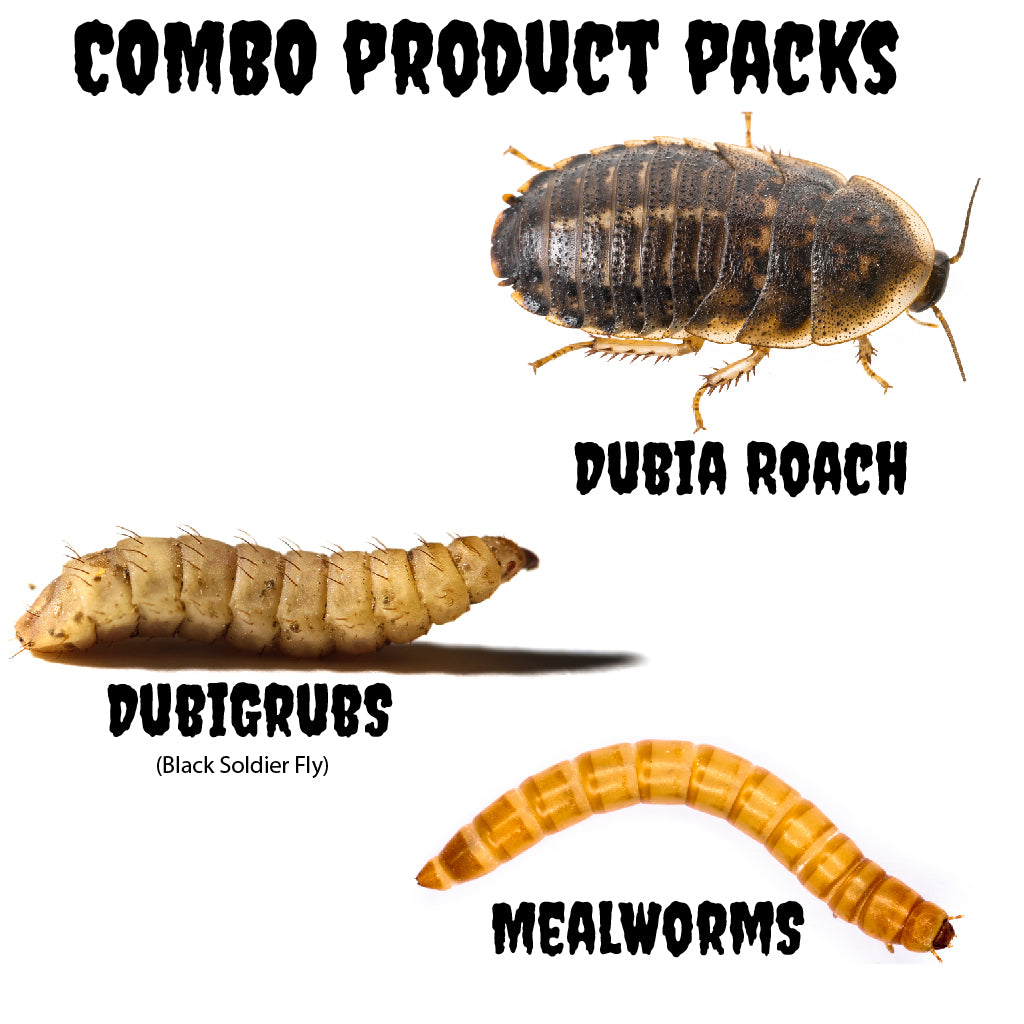 Dubia Roaches & DubiGrubs(Black Soldier Fly) & Mealworms - Combo Product Packs