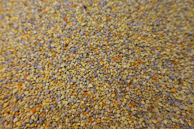 Bee Pollen top view