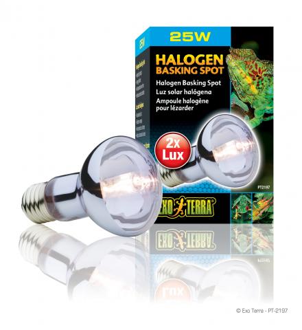 Exo Terra Halogen Basking Spot (25 Watt)